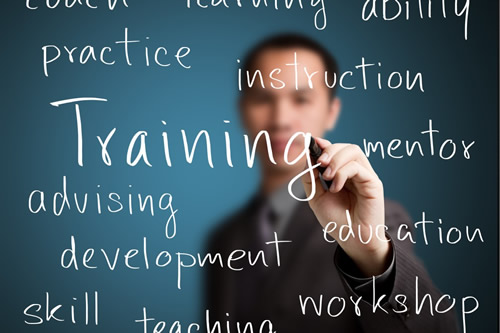 Refresher workshops for experienced directors